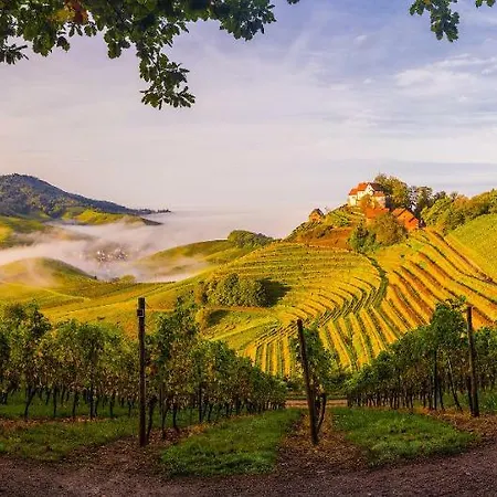 아파트 Kirschbluete *