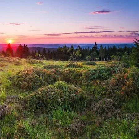 Kirschbluete Appartement *