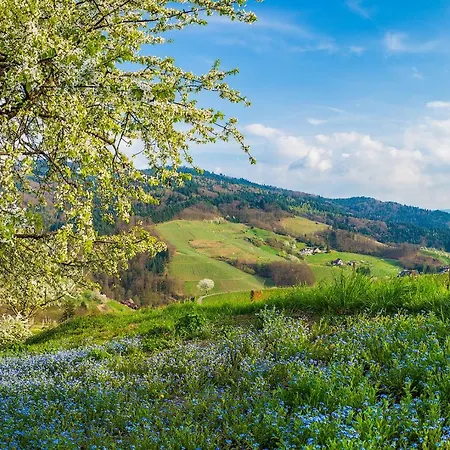 Kirschbluete 아파트