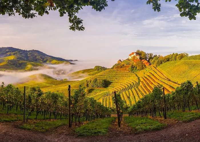 Apartamento Kirschblüte *