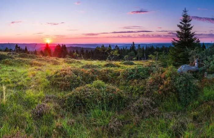 Kirschblüte Apartamento *